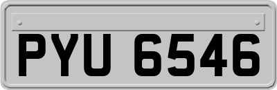 PYU6546