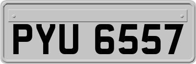 PYU6557