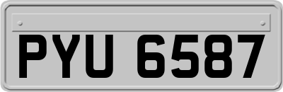 PYU6587