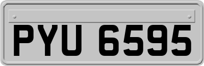 PYU6595