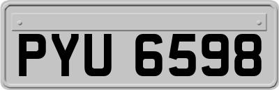 PYU6598