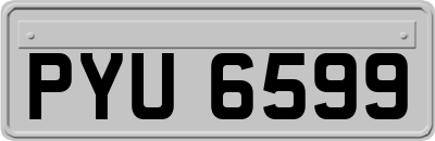 PYU6599