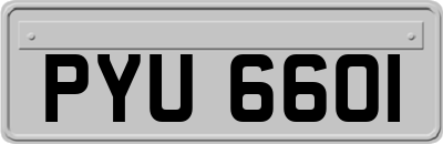 PYU6601