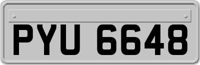 PYU6648