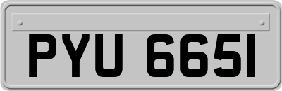 PYU6651