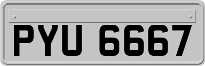 PYU6667