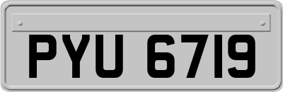 PYU6719