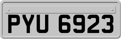 PYU6923