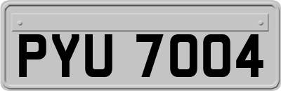 PYU7004