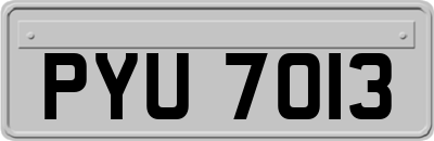 PYU7013