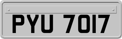 PYU7017