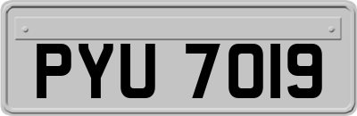 PYU7019