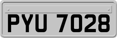 PYU7028