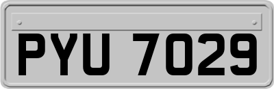 PYU7029