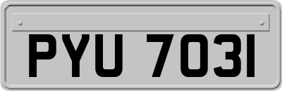 PYU7031