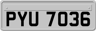 PYU7036