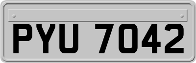 PYU7042