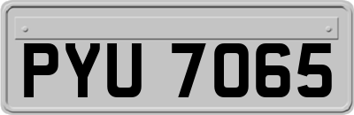 PYU7065