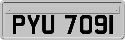 PYU7091