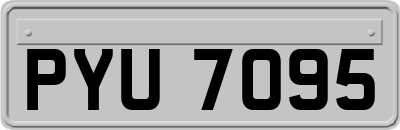 PYU7095