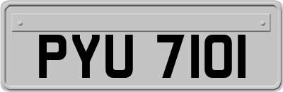 PYU7101