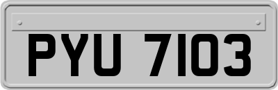 PYU7103