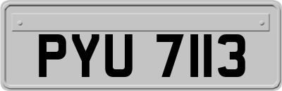 PYU7113