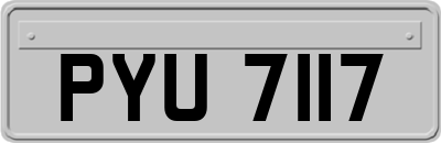 PYU7117