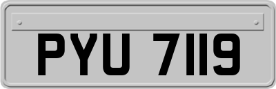 PYU7119