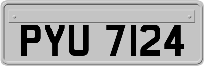 PYU7124