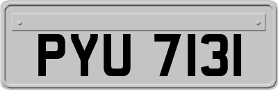 PYU7131