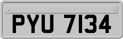 PYU7134