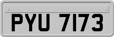 PYU7173