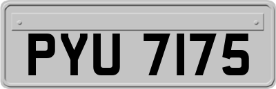 PYU7175