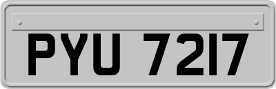 PYU7217