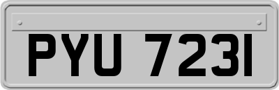 PYU7231