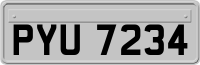 PYU7234