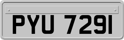 PYU7291