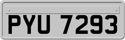 PYU7293