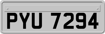 PYU7294