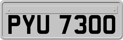 PYU7300