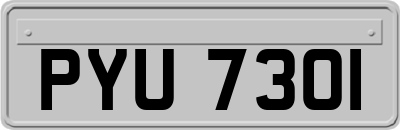 PYU7301