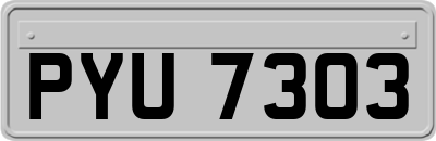 PYU7303