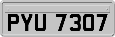 PYU7307