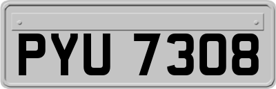 PYU7308