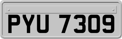 PYU7309