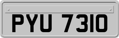 PYU7310