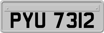 PYU7312