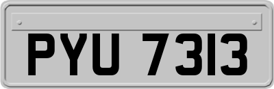 PYU7313