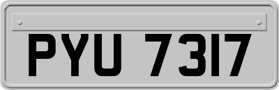 PYU7317